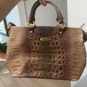Brahmin snake skin purse